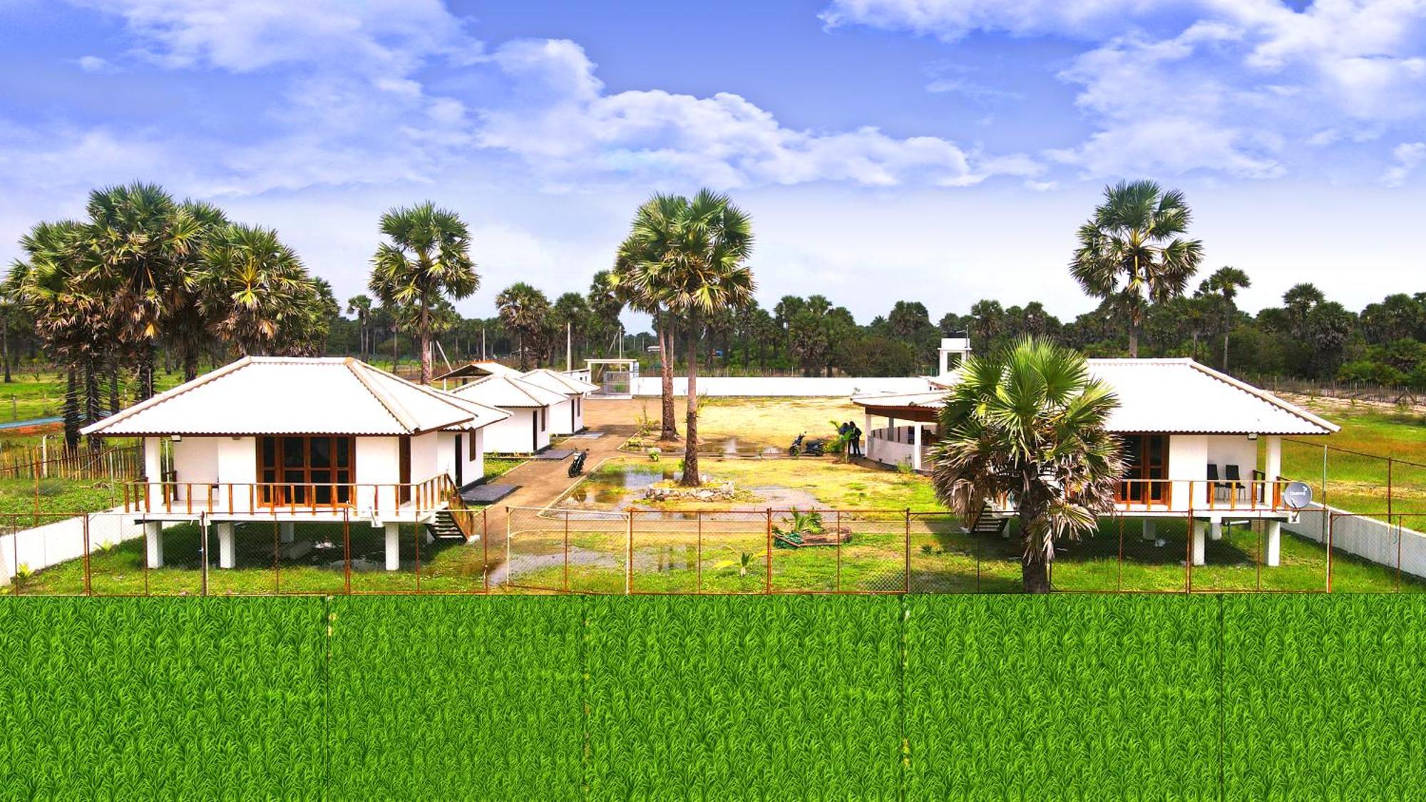 Palm Beach Resort Ceylon Jaffna Extérieur photo